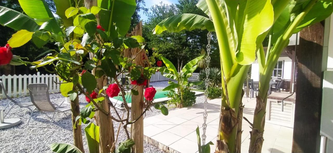 La Villa Minvia Les Landes Entre Mer Et Montagne Saint-Vincent-de-Paul  Ngoại thất bức ảnh